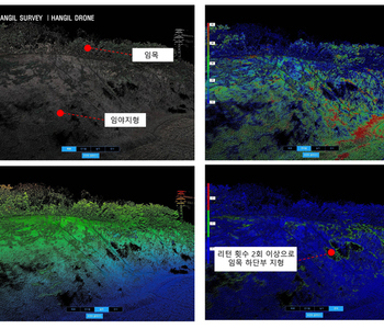 임야부분 D-LiDAR(Drone LiDAR)측량결과